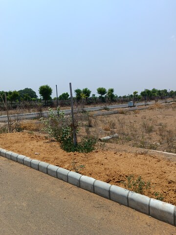 Plot For Resale in Thikariya Jaipur  6977714