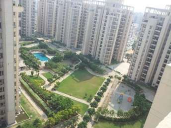 4 BHK Apartment For Rent in Orchid Petals Sector 49 Gurgaon 6977830