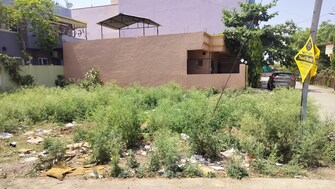 Plot For Resale in Bagh Swaniya Bhopal  6983976