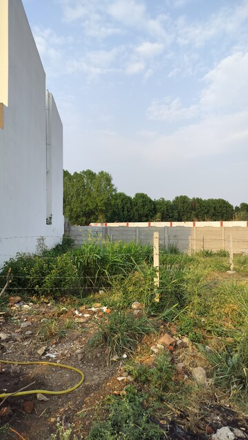  Plot For Sale in Bagh Swaniya