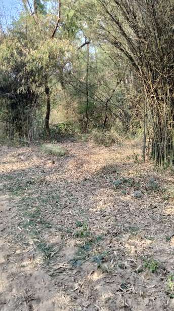 Commercial Land 10 Acre For Resale in Chandigarh Ambala Highway Zirakpur  6984131