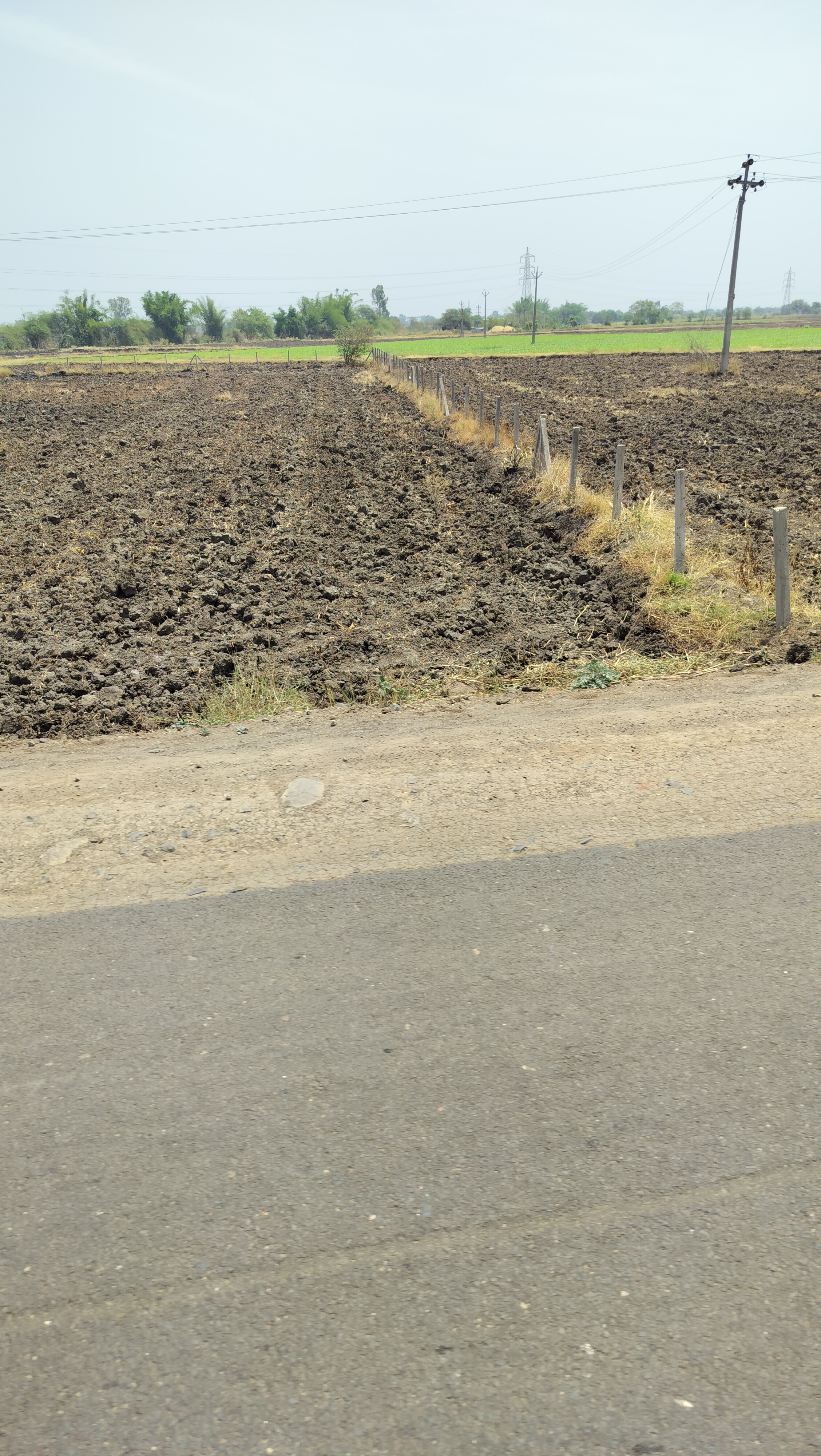 Commercial Land 4 Acre For Resale in Baghmugalia Bhopal  6984161