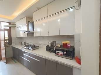 2 BHK Apartment For Rent in Ansal API Palam Corporate Plaza Sector 3 Gurgaon 6984961