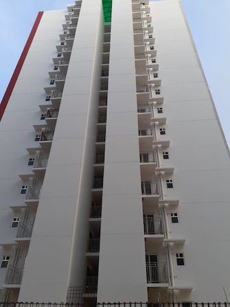 3 BHK Apartment For Resale in BCC Bharat City Phase II Indraprastha Yojna Ghaziabad  6985734