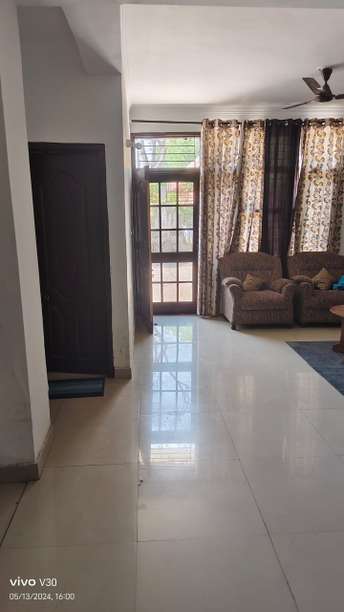 3 BHK Apartment For Rent in NK Sharma Savitry Greens Lohgarh Zirakpur 6987076