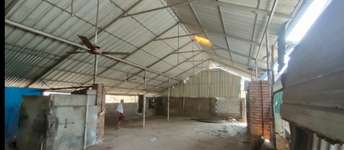 Commercial Warehouse 1850 Sq.Yd. For Rent in Kochi Kochi  6990304