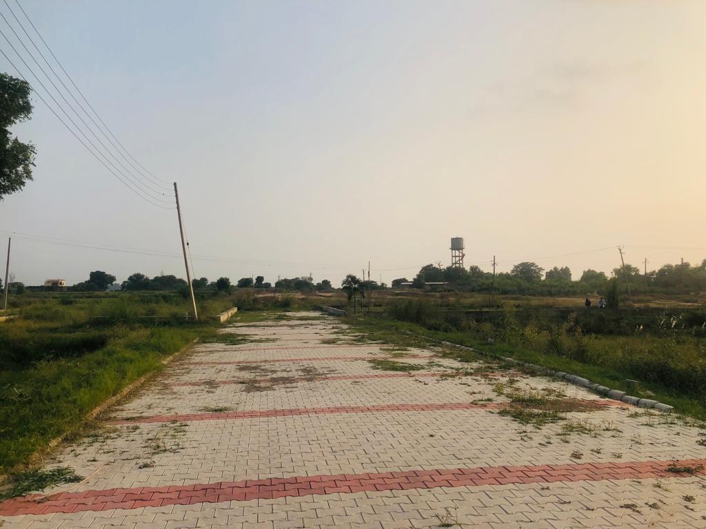 Plot For Resale in Aerocity Mohali  6990495