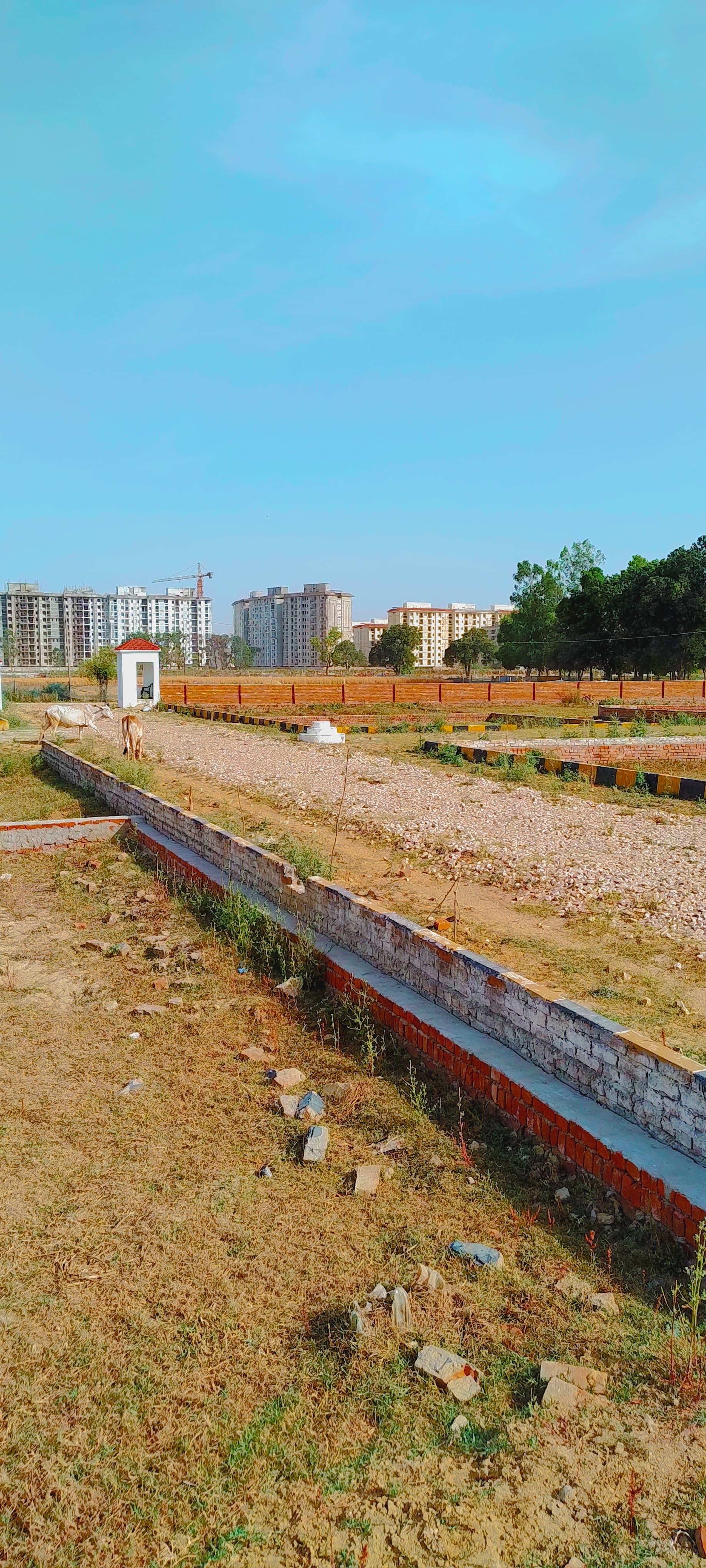 Plot For Resale in Faizabad Road Lucknow  6990895