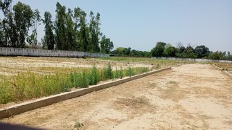 Plot For Resale in Ansal Sushant Golf city Sushant Golf City Lucknow  6993013