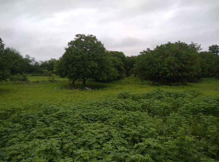 Garden, landscape-hills Commercial Land 2 Acre In Murbad Thane 6994296