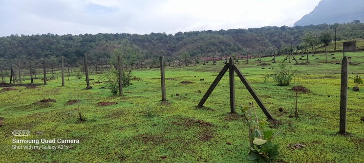 undefined, landscape-hills Commercial Land 2 Acre In Murbad Thane 6994296