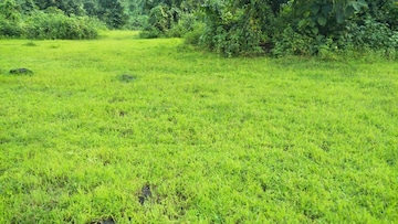 Commercial Land 2 Acre For Resale in Murbad Thane  6994296