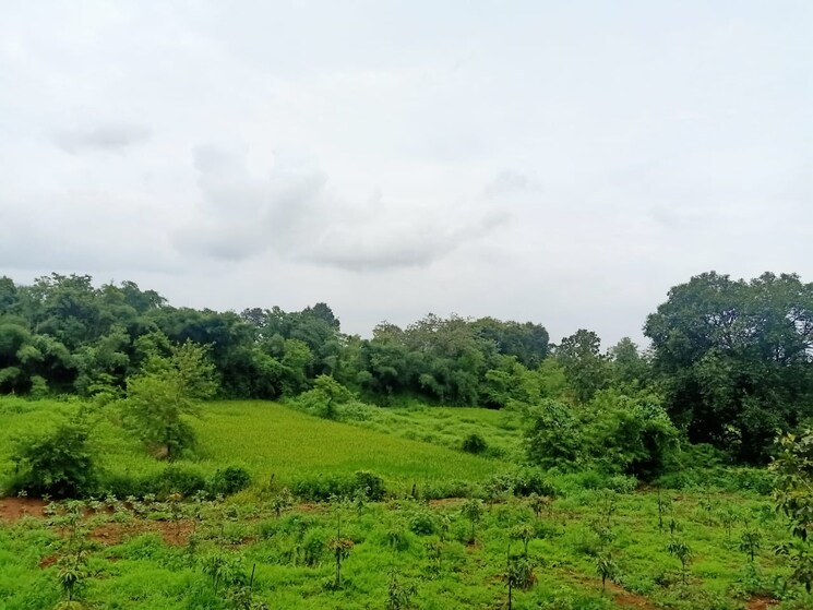 undefined, landscape-hills Commercial Land 2 Acre In Murbad Thane 6994296