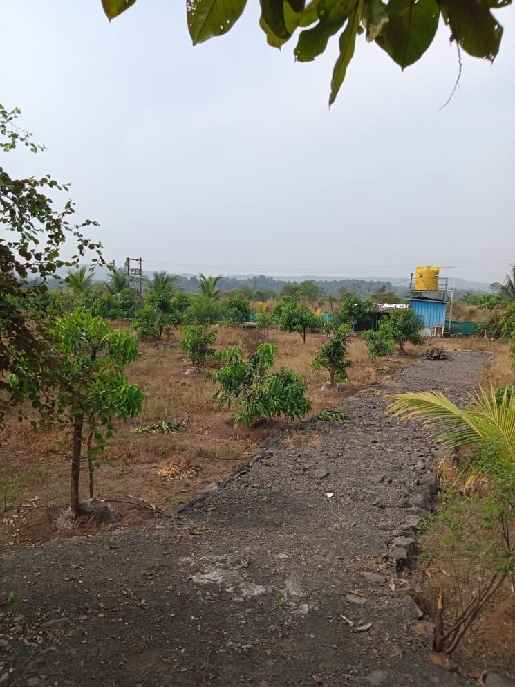 undefined, sai-na-plot Commercial Land 1 Acre In Murbad Thane 6994304