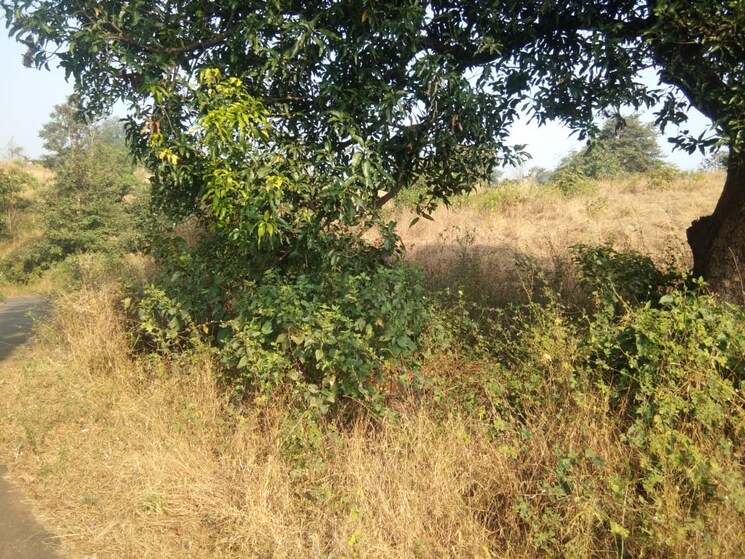 undefined, sai-na-plot Commercial Land 1 Acre In Murbad Thane 6994304