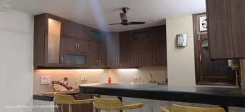 3.5 BHK Builder Floor For Rent in Malviya Nagar Delhi  6994927