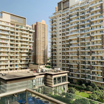 3 BHK Apartment For Rent in Paras Dews Panwala Khusropur Gurgaon 6995003