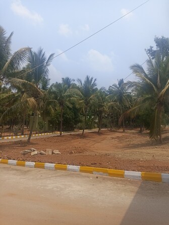 Plot For Resale in Aashrithaa Brindavana Kanakapura Road Bangalore  6995457