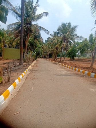 Plot For Resale in Aashrithaa Brindavana Kanakapura Road Bangalore  6995457