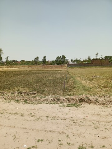 Commercial Industrial Plot 2 Acre For Resale in Nh 1 Ambala  6995790