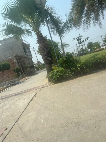  Plot – Exterior View View at Jewar - for Sale
