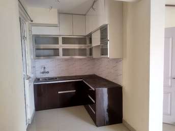 2 BHK Apartment For Rent in BSB Vaibhav Heritage Height Noida Ext Sector 16 Greater Noida 6997196