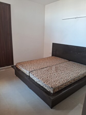 2 BHK Apartment For Resale in Omaxe Grand Sector 93b Noida  7000129