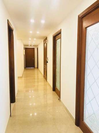 4 BHK Builder Floor For Resale in RWA Saket Block D Saket Delhi  7000358