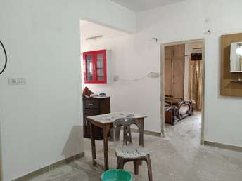 3 BHK Apartment For Rent in Gomti Nagar Lucknow 7001144