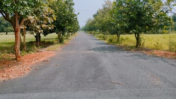Plot Area in  Plot at Bhogapuram – for Sale