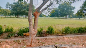 Plot Area in  Plot at Bhogapuram – for Sale