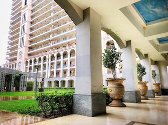 3 BHK Apartment For Resale in DLF The Skycourt Sector 86 Gurgaon  7001864