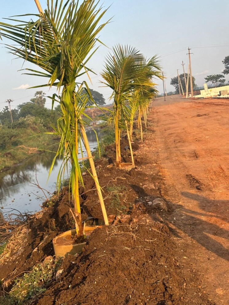 Exterior View, kankipadu  325 Sq.Yd. Plot In Kankipadu Vijayawada 7002096