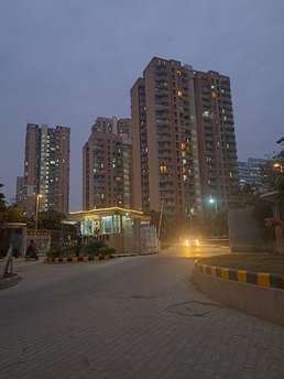 2.5 BHK Apartment For Rent in Pioneer Park Phase 1 Sector 61 Gurgaon  7003557