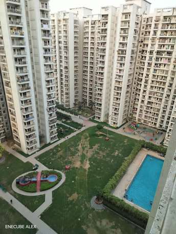 3 BHK Apartment For Rent in VVIP Homes Sector 167b, Greater Noida Greater Noida  7007946