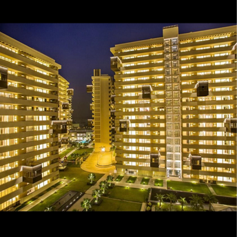 4 BHK Apartment For Rent in Salcon The Verandas Suncity Gurgaon  7008308