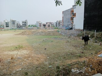 Plot For Resale in Sector 117 Noida  7009128