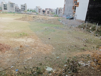 Plot For Resale in Sector 117 Noida  7009128