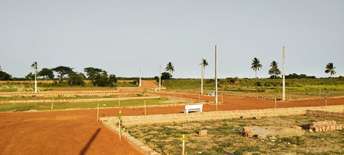 Plot For Resale in Pipili Bhubaneswar  7009453