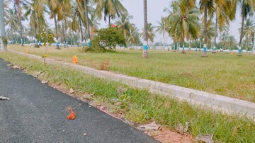 Plot Area in  Plot at Patrunivalasa – for Sale