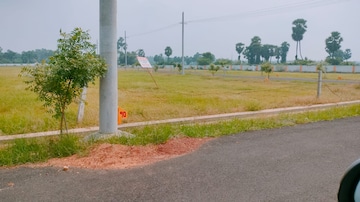 Plot For Resale in Patrunivalasa Srikakulam  7009496