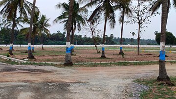 Plot Area in  Plot at Patrunivalasa – for Sale