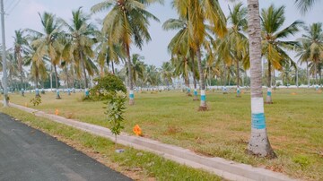 Plot Area in  Plot at Patrunivalasa – for Sale