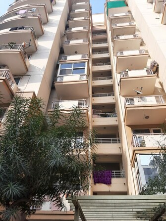 3 BHK Apartment For Resale in Tulip Petals Sector 89 Gurgaon  7009558