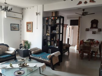 3 BHK Apartment For Resale in Tulip Petals Sector 89 Gurgaon  7009558