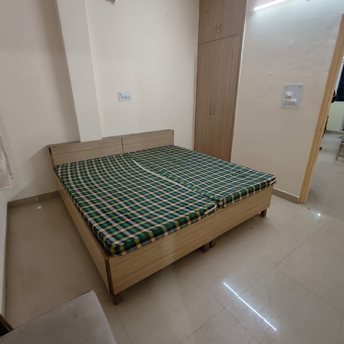 1 BHK Builder Floor For Rent in Sushant Lok 1 Sushant Lok I Gurgaon  7009609