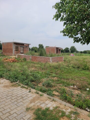  Plot For Sale in Dankaur