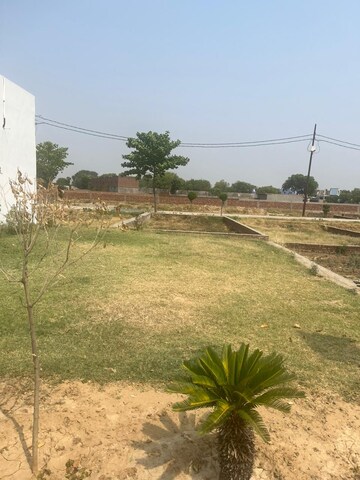 Plot Area in  Plot at Jewar – for Sale
