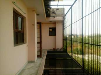 3 BHK Builder Floor For Rent in Sector 45 Noida 7015326
