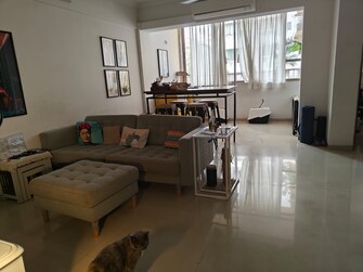 2 BHK Apartment For Resale in Cozy Home Bandra West Mumbai  7015377